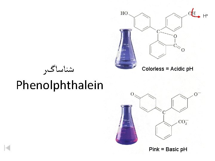 H+ ﺷﻨﺎﺳﺎگﺮ Phenolphthalein Colorless = Acidic p. H Pink = Basic p. H 