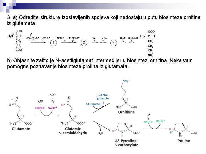 3. a) Odredite strukture izostavljenih spojeva koji nedostaju u putu biosinteze ornitina iz glutamata: