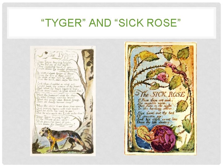 “TYGER” AND “SICK ROSE” 
