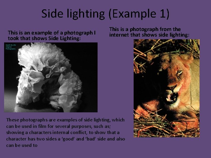 Side lighting (Example 1) This is an example of a photograph I took that Side lighting (Example 1) This is an example of a photograph I took that