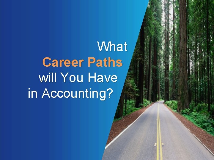  What Career Paths will You Have in Accounting? 