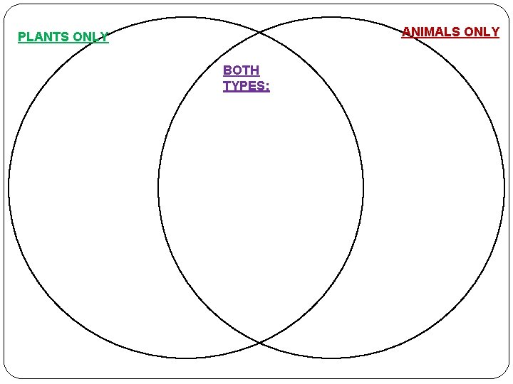 ANIMALS ONLY PLANTS ONLY BOTH TYPES: 