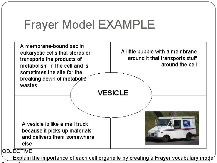 Frayer Model EXAMPLE A membrane-bound sac in eukaryotic cells that stores or transports the