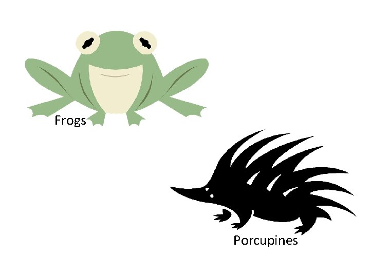 Frogs Porcupines 