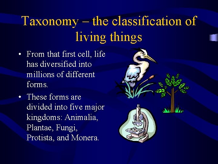 Taxonomy – the classification of living things • From that first cell, life has