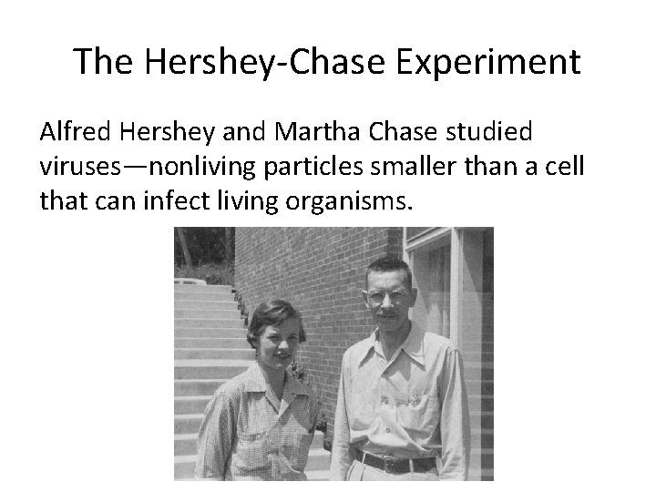 The Hershey-Chase Experiment Alfred Hershey and Martha Chase studied viruses—nonliving particles smaller than a