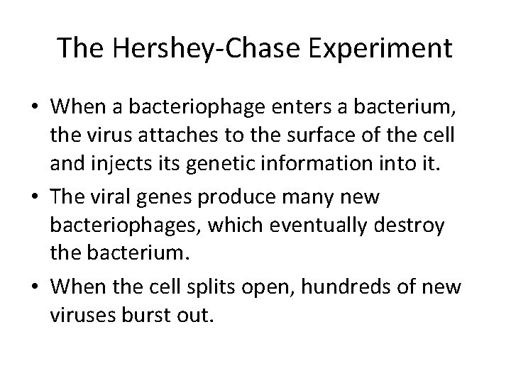 The Hershey-Chase Experiment • When a bacteriophage enters a bacterium, the virus attaches to