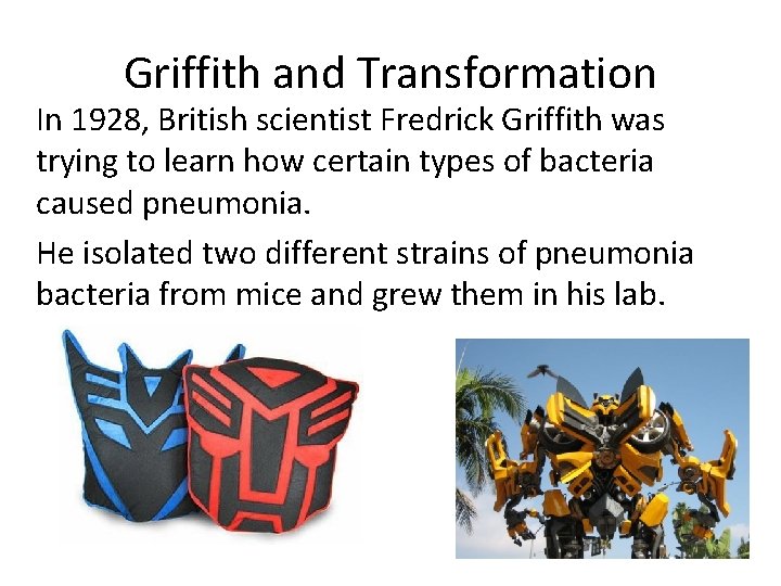 Griffith and Transformation In 1928, British scientist Fredrick Griffith was trying to learn how