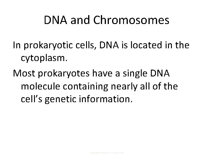 DNA and Chromosomes In prokaryotic cells, DNA is located in the cytoplasm. Most prokaryotes