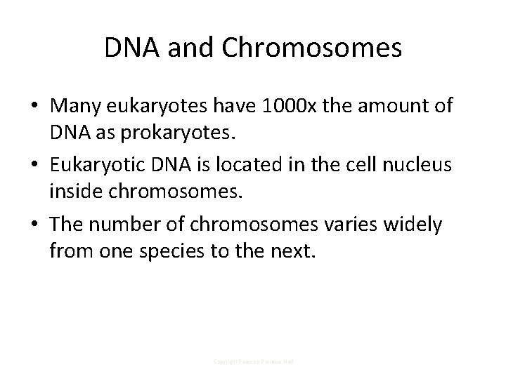 DNA and Chromosomes • Many eukaryotes have 1000 x the amount of DNA as