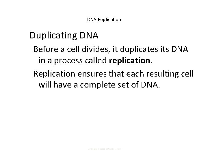 DNA Replication Duplicating DNA Before a cell divides, it duplicates its DNA in a