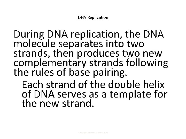 DNA Replication During DNA replication, the DNA molecule separates into two strands, then produces