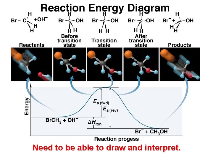 Need to be able to draw and interpret. 