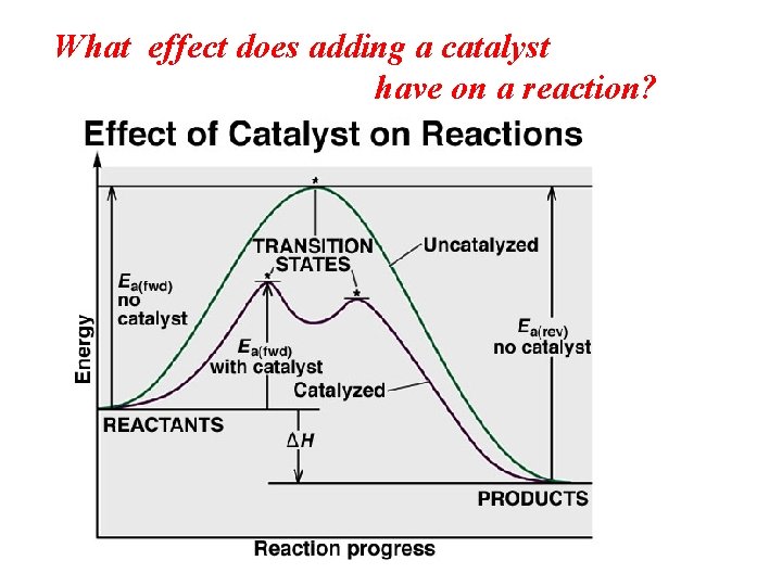 What effect does adding a catalyst have on a reaction? 
