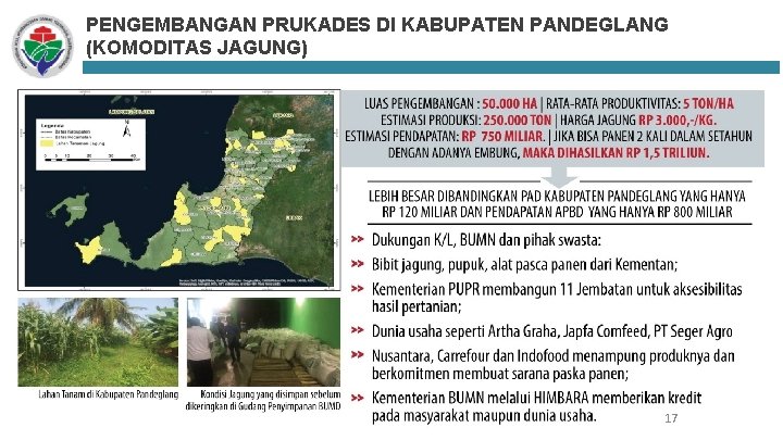 PENGEMBANGAN PRUKADES DI KABUPATEN PANDEGLANG (KOMODITAS JAGUNG) 17 