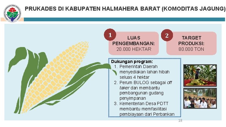 PRUKADES DI KABUPATEN HALMAHERA BARAT (KOMODITAS JAGUNG) 1 LUAS PENGEMBANGAN: 20. 000 HEKTAR 2
