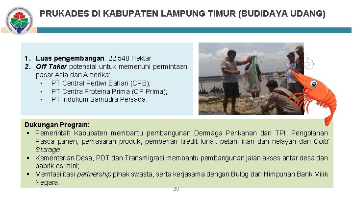 PRUKADES DI KABUPATEN LAMPUNG TIMUR (BUDIDAYA UDANG) 1. Luas pengembangan: 22. 548 Hektar 2.