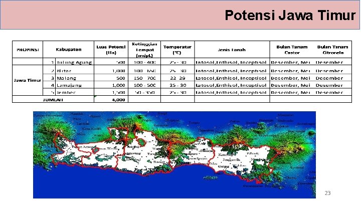 Potensi Jawa Timur 23 