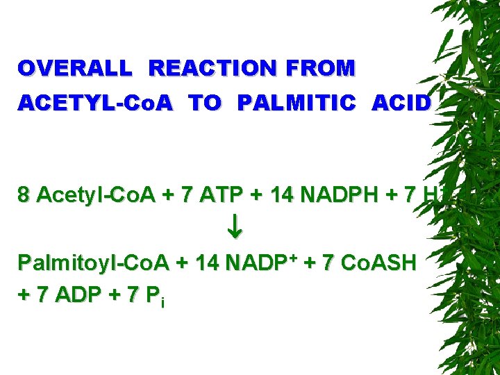 OVERALL REACTION FROM ACETYL-Co. A TO PALMITIC ACID 8 Acetyl-Co. A + 7 ATP