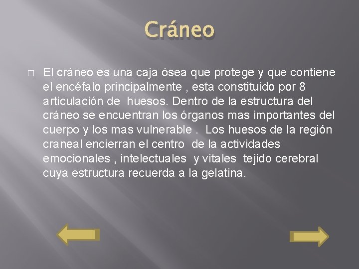 Cráneo � El cráneo es una caja ósea que protege y que contiene el