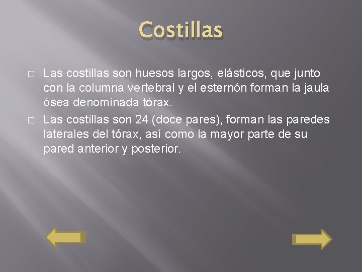 Costillas � � Las costillas son huesos largos, elásticos, que junto con la columna