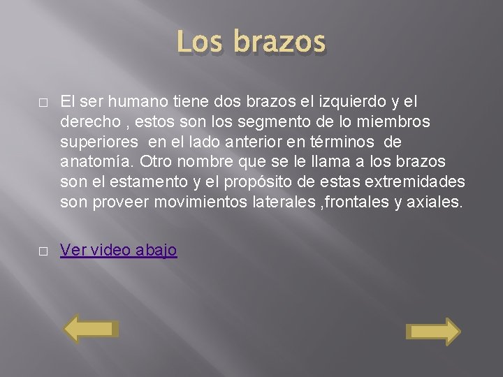Los brazos � El ser humano tiene dos brazos el izquierdo y el derecho