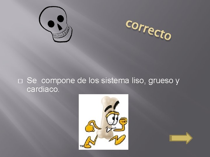 corr ecto � Se compone de los sistema liso, grueso y cardiaco. 