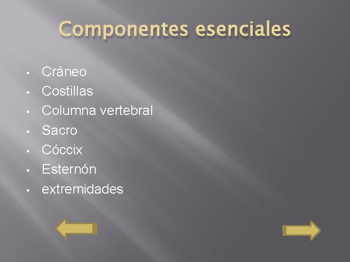 Componentes esenciales • • Cráneo Costillas Columna vertebral Sacro Cóccix Esternón extremidades 