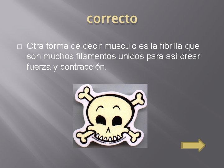 correcto � Otra forma de decir musculo es la fibrilla que son muchos filamentos