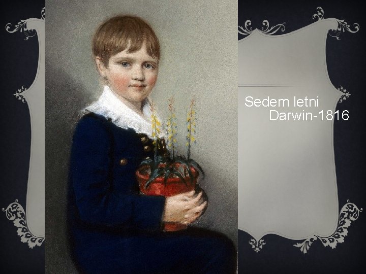 Sedem letni Darwin-1816 