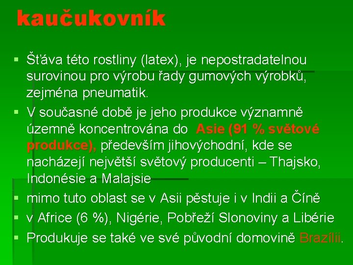 kaučukovník § Šťáva této rostliny (latex), je nepostradatelnou surovinou pro výrobu řady gumových výrobků,