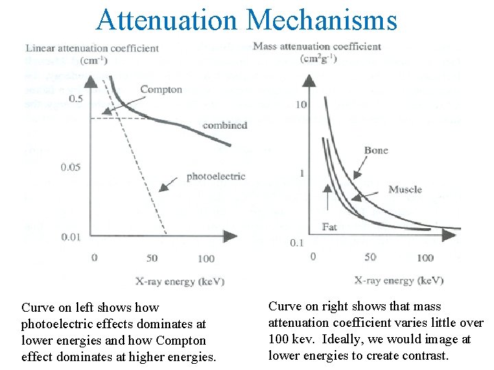 Attenuation Mechanisms Curve on left shows how photoelectric effects dominates at lower energies and