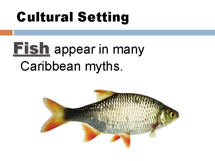Cultural Setting Fish appear in many Caribbean myths. 