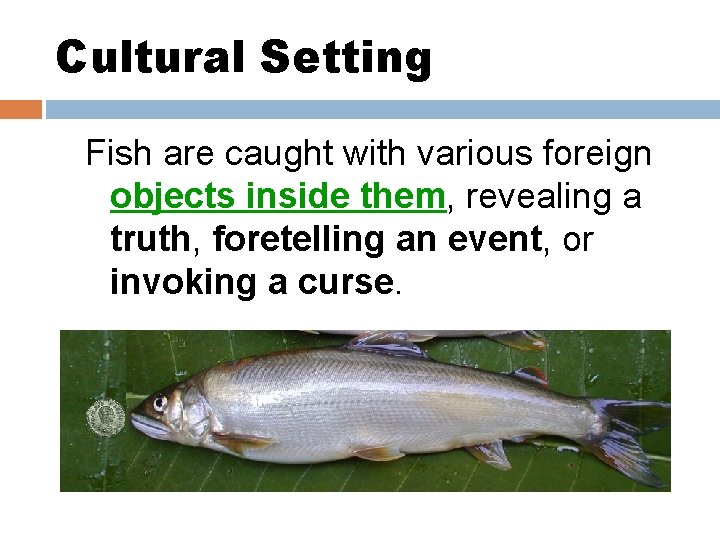 Cultural Setting Fish are caught with various foreign objects inside them, revealing a truth,