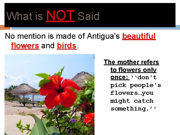 What is NOT Said No mention is made of Antigua’s beautiful flowers and birds.