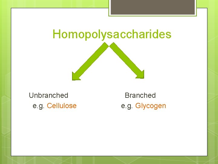 Homopolysaccharides Unbranched e. g. Cellulose Branched e. g. Glycogen 