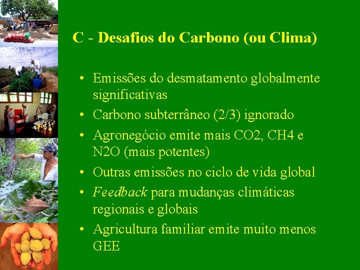 C - Desafios do Carbono (ou Clima) • Emissões do desmatamento globalmente significativas •