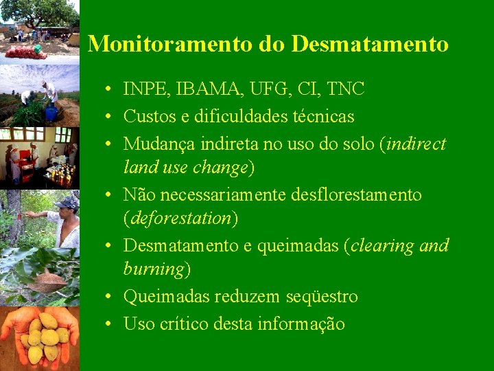 Monitoramento do Desmatamento • INPE, IBAMA, UFG, CI, TNC • Custos e dificuldades técnicas