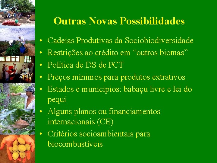 Outras Novas Possibilidades • • • Cadeias Produtivas da Sociobiodiversidade Restrições ao crédito em