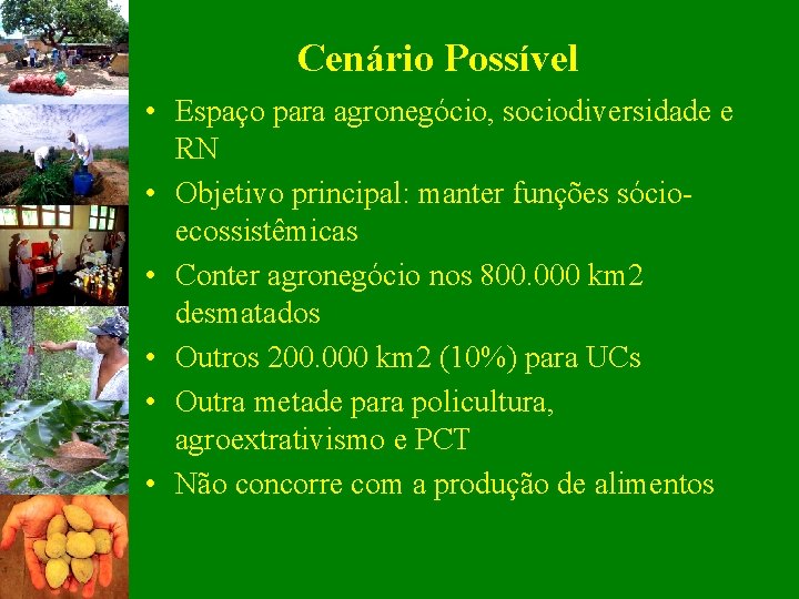 Cenário Possível • Espaço para agronegócio, sociodiversidade e RN • Objetivo principal: manter funções