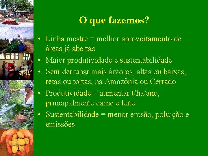 O que fazemos? • Linha mestre = melhor aproveitamento de áreas já abertas •