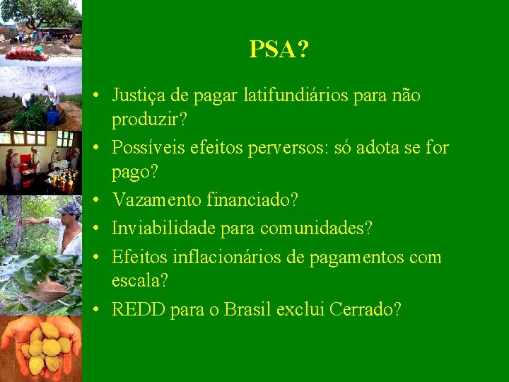 PSA? • Justiça de pagar latifundiários para não produzir? • Possíveis efeitos perversos: só