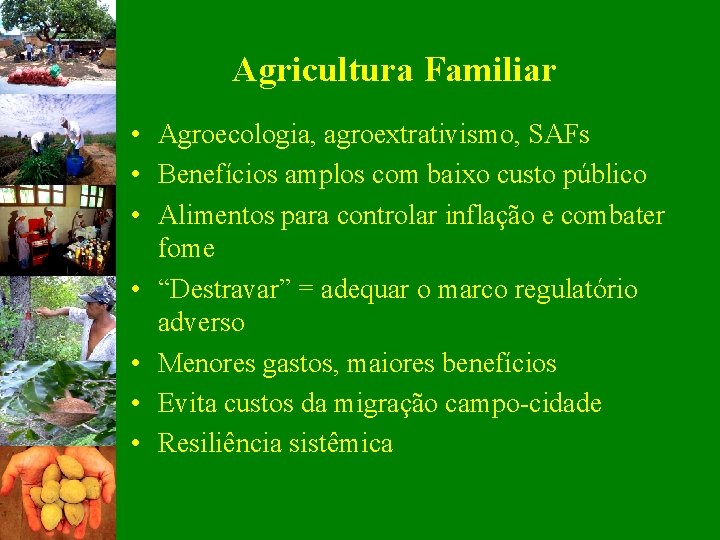 Agricultura Familiar • Agroecologia, agroextrativismo, SAFs • Benefícios amplos com baixo custo público •