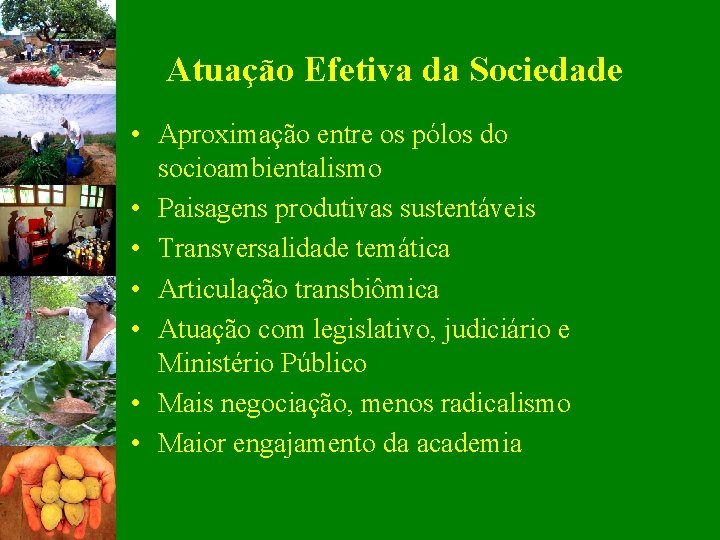 Atuação Efetiva da Sociedade • Aproximação entre os pólos do socioambientalismo • Paisagens produtivas