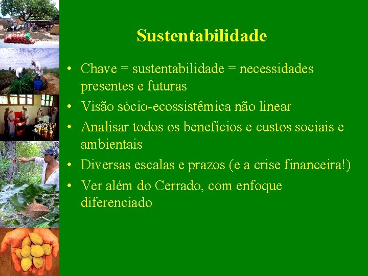 Sustentabilidade • Chave = sustentabilidade = necessidades presentes e futuras • Visão sócio-ecossistêmica não