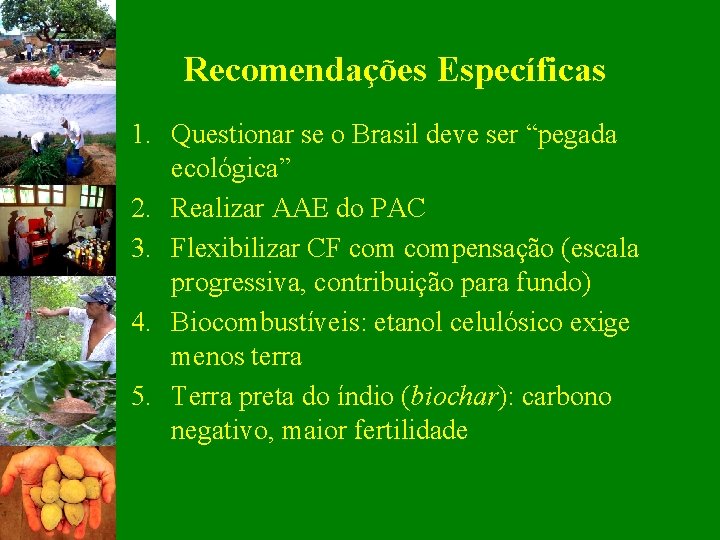 Recomendações Específicas 1. Questionar se o Brasil deve ser “pegada ecológica” 2. Realizar AAE