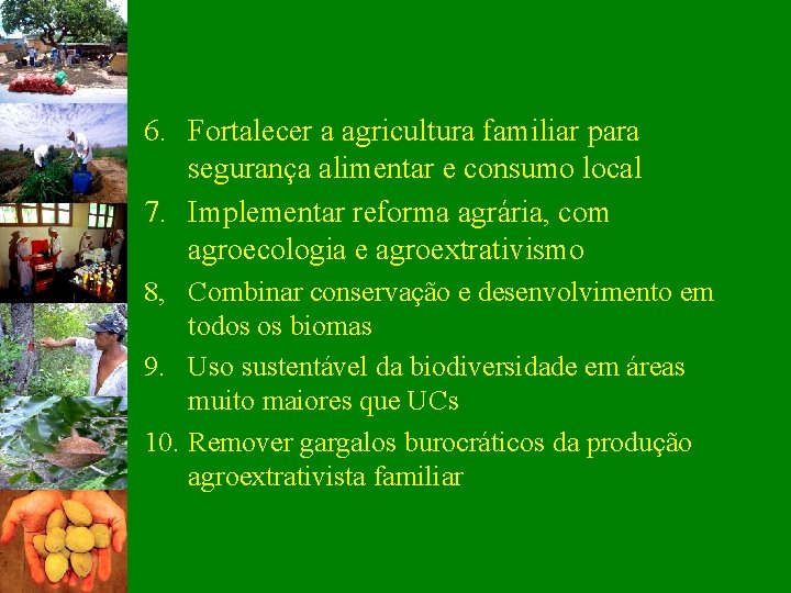 6. Fortalecer a agricultura familiar para segurança alimentar e consumo local 7. Implementar reforma