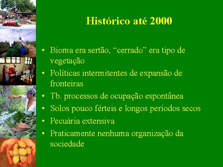 Histórico até 2000 • Bioma era sertão, “cerrado” era tipo de vegetação • Políticas