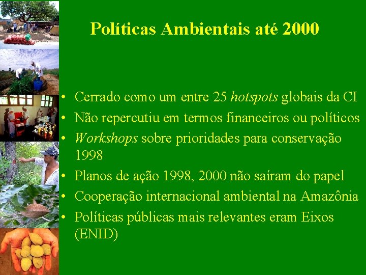 Políticas Ambientais até 2000 • Cerrado como um entre 25 hotspots globais da CI