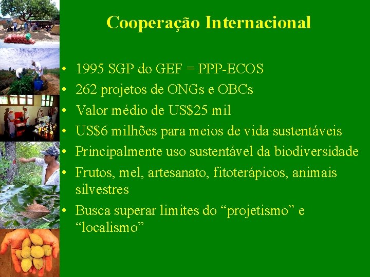 Cooperação Internacional • • • 1995 SGP do GEF = PPP-ECOS 262 projetos de